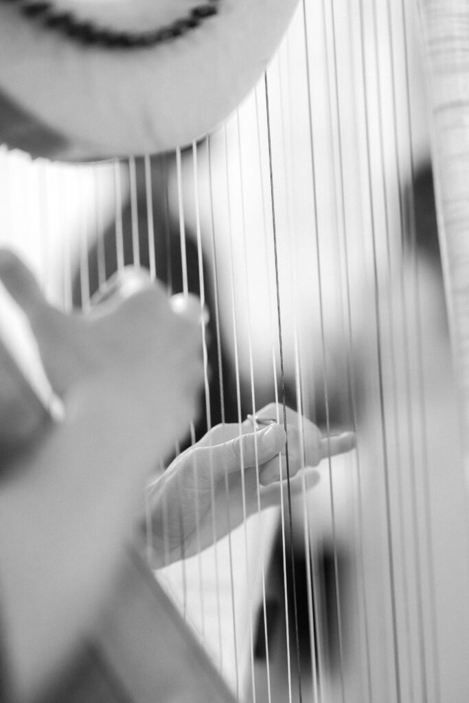 Wedding Harpist strumming